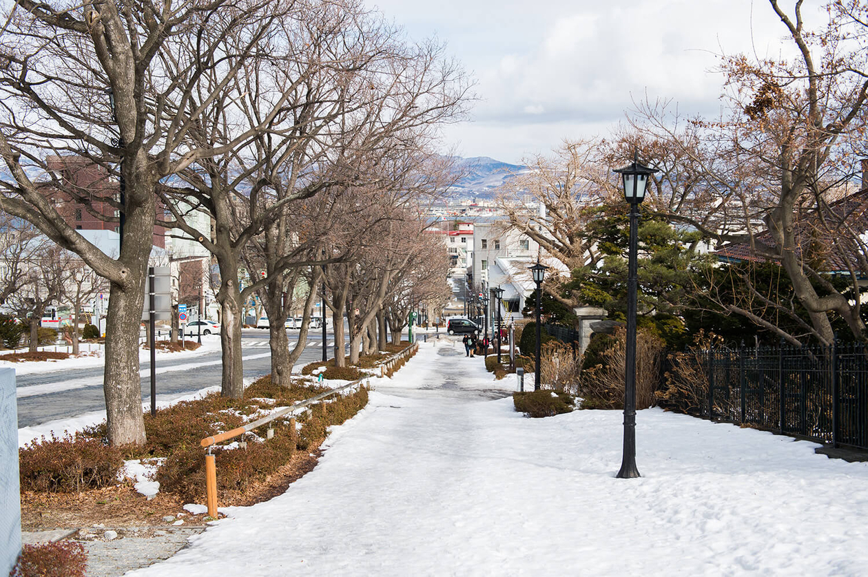 第七十七話 日常から逃げない－【函館篇】 脚本家 野田高梧－