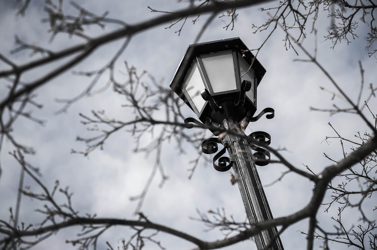 第七十七話 日常から逃げない－【函館篇】 脚本家 野田高梧－