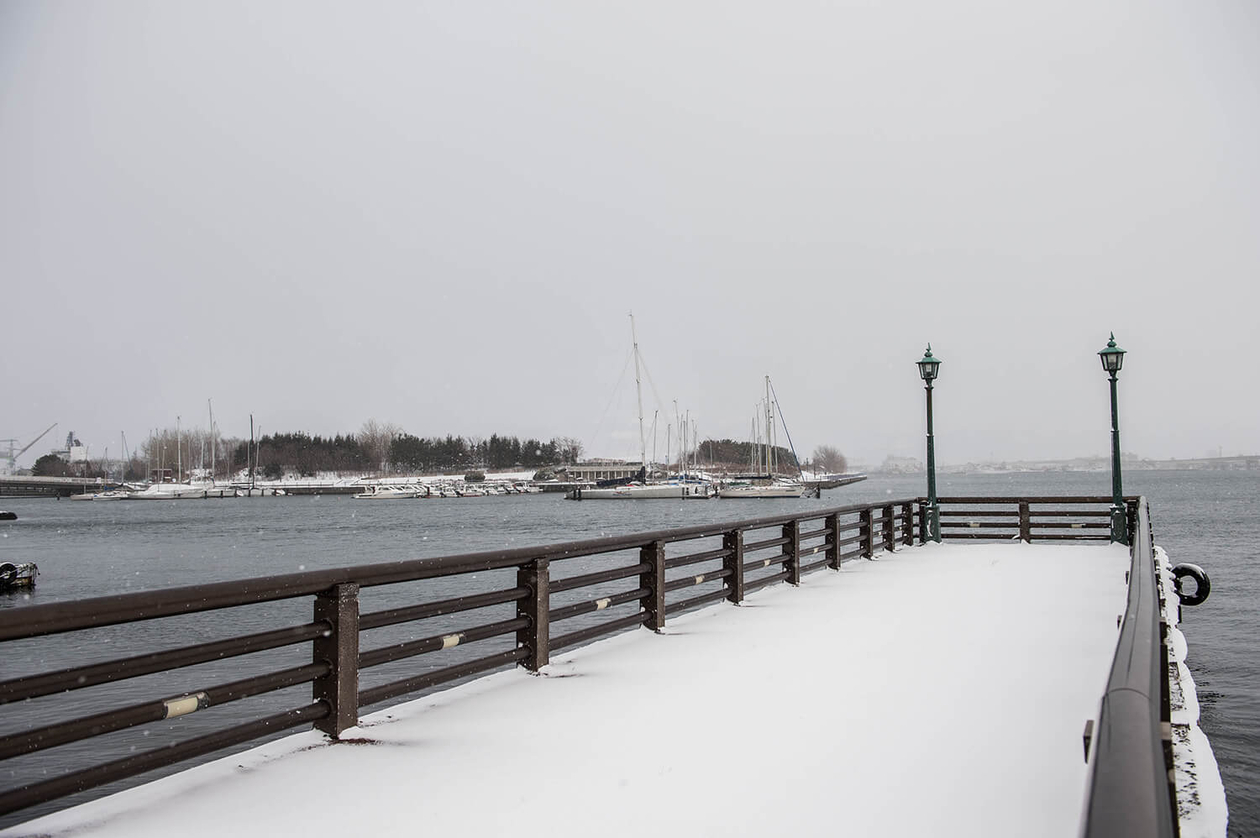 第七十八話 己の役割を全うする－【函館篇】 女優 高峰秀子－