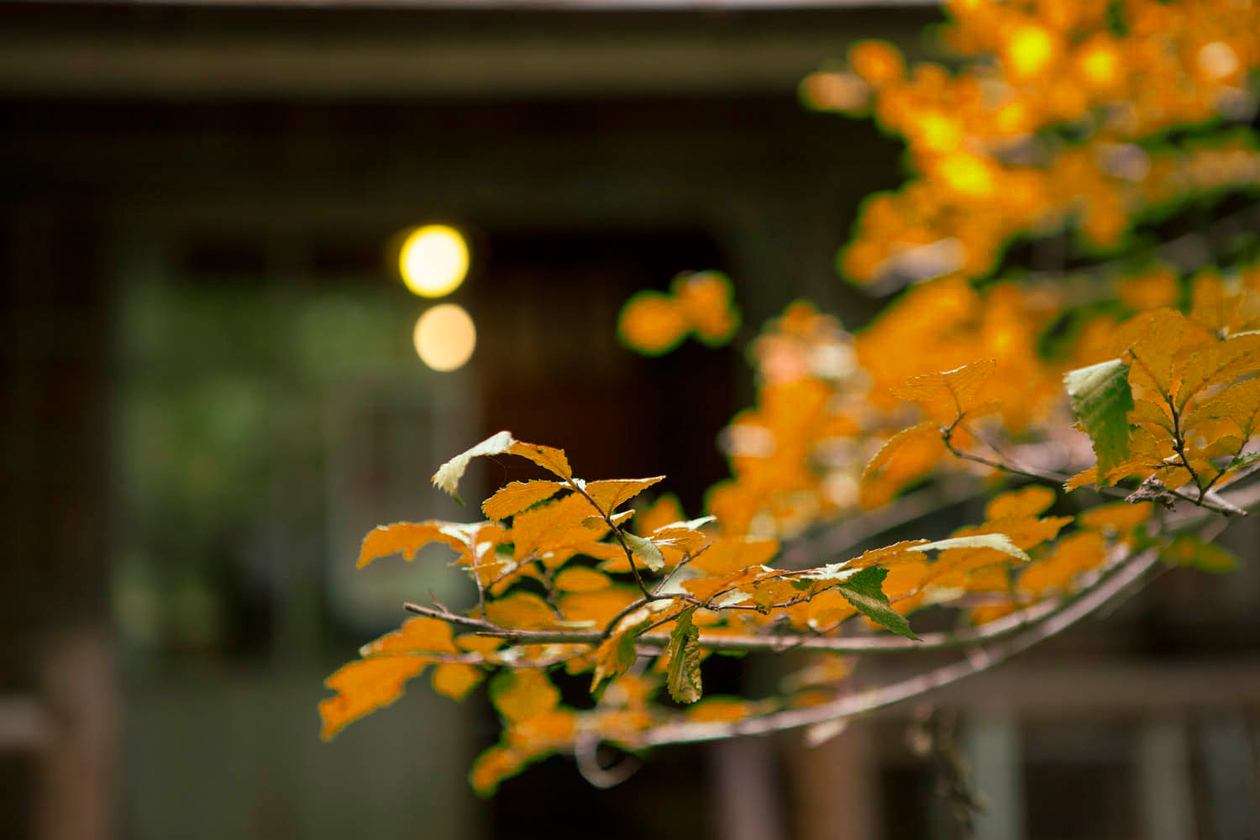 第六話 　風立ちぬ　　　　　－小説家・堀辰雄－