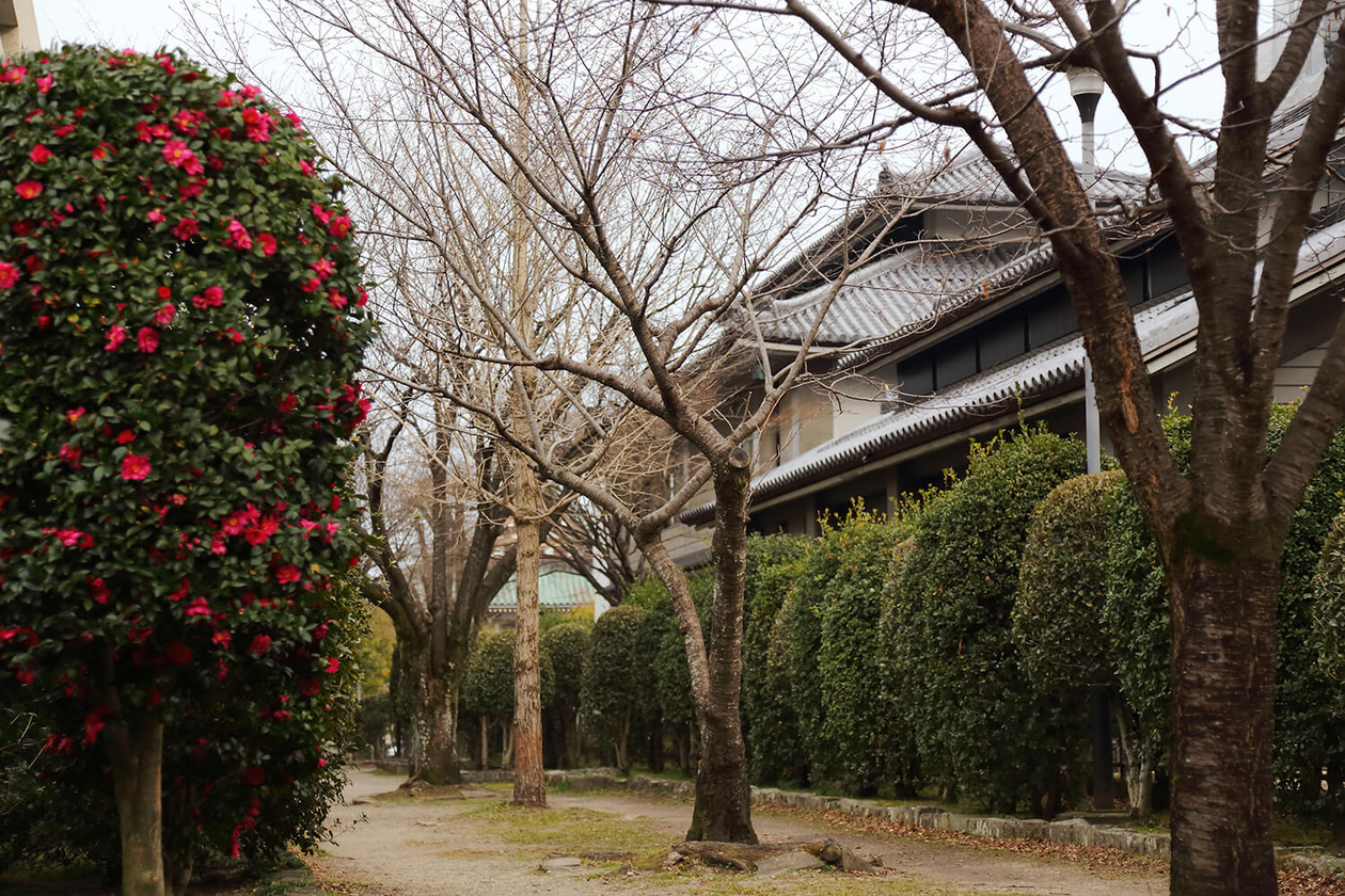 第八十話 笑いを借りてくる－【仙台篇】 作家 井上ひさし－