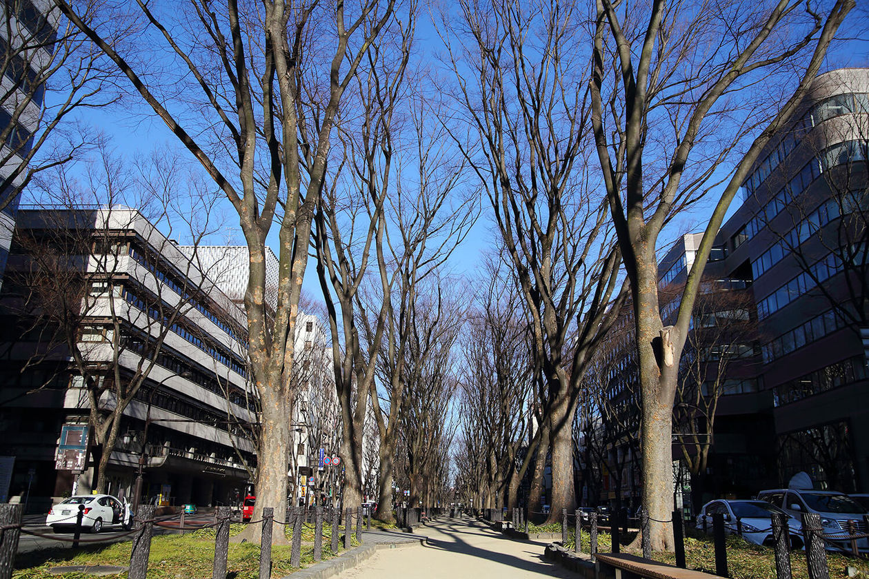 第八十一話 幸せは好きの傍にある－【仙台篇】 小説家・精神科医 北杜夫－