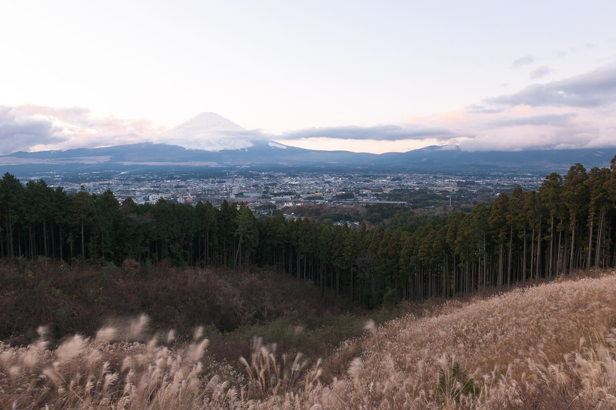 第八十三話 何度ダメでも諦めない－【富士山篇】 日本画家 片岡球子－