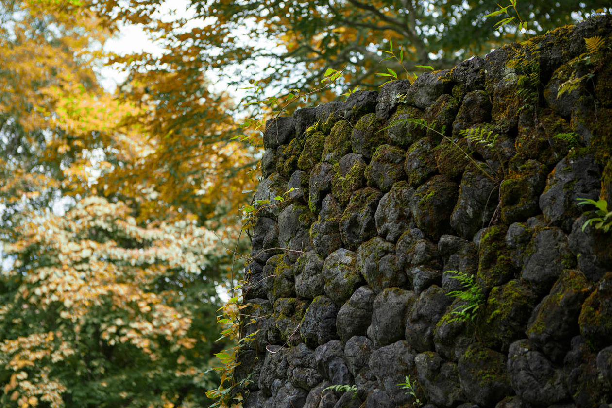 第六話 　風立ちぬ　　　　　－小説家・堀辰雄－