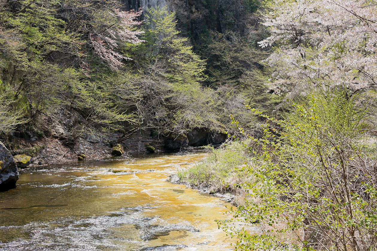 第八十八話 未来を語れ！－【日光篇】 ソニー創業者 井深大－