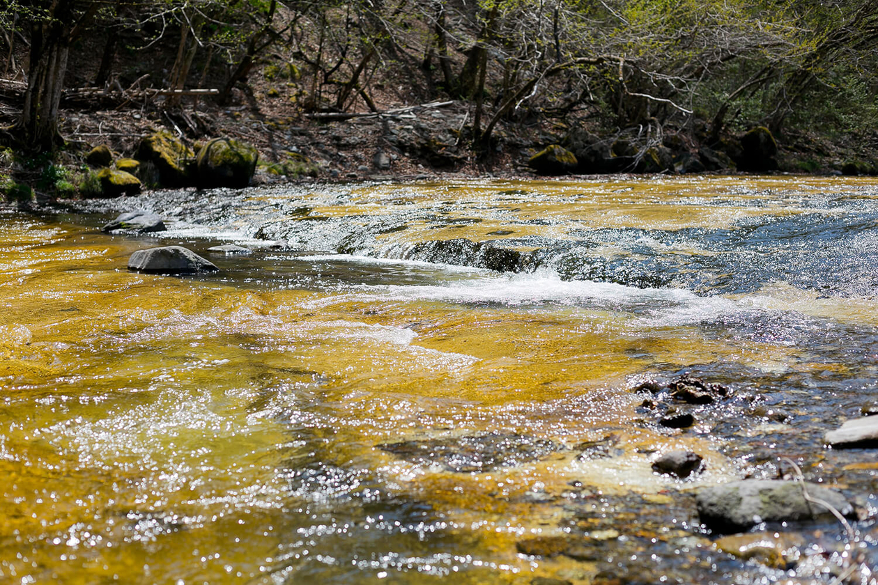 第八十八話 未来を語れ！－【日光篇】 ソニー創業者 井深大－