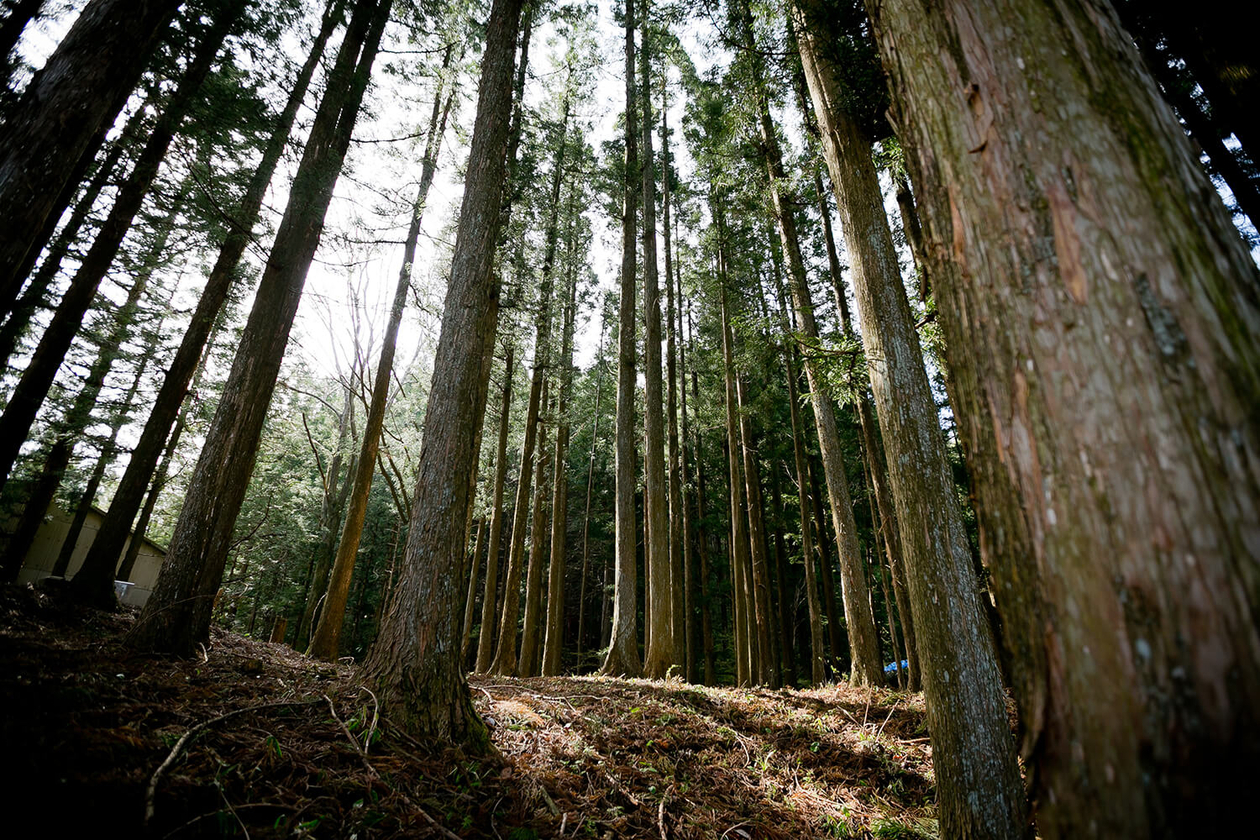 第八十八話 未来を語れ！－【日光篇】 ソニー創業者 井深大－