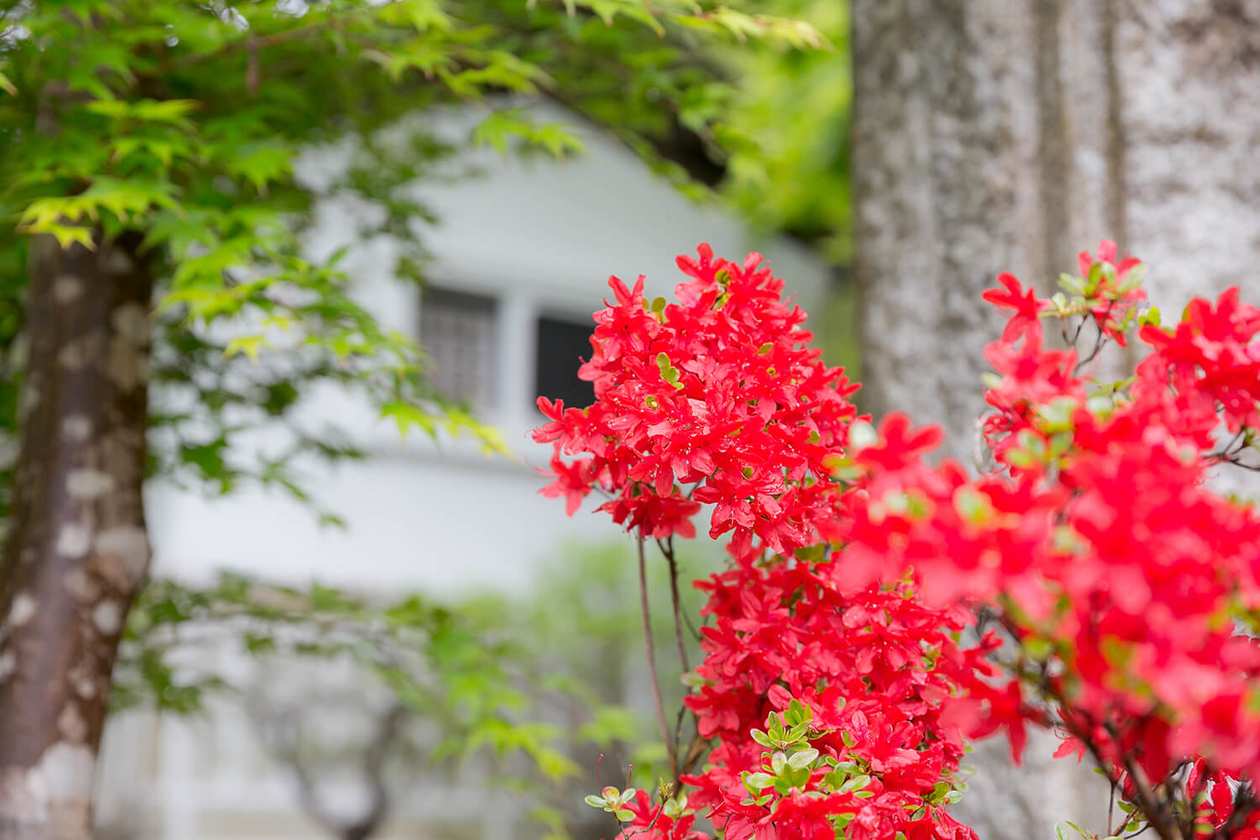 第九十話 逆境の先にあるもの－【日光篇】 教育者 新渡戸稲造－