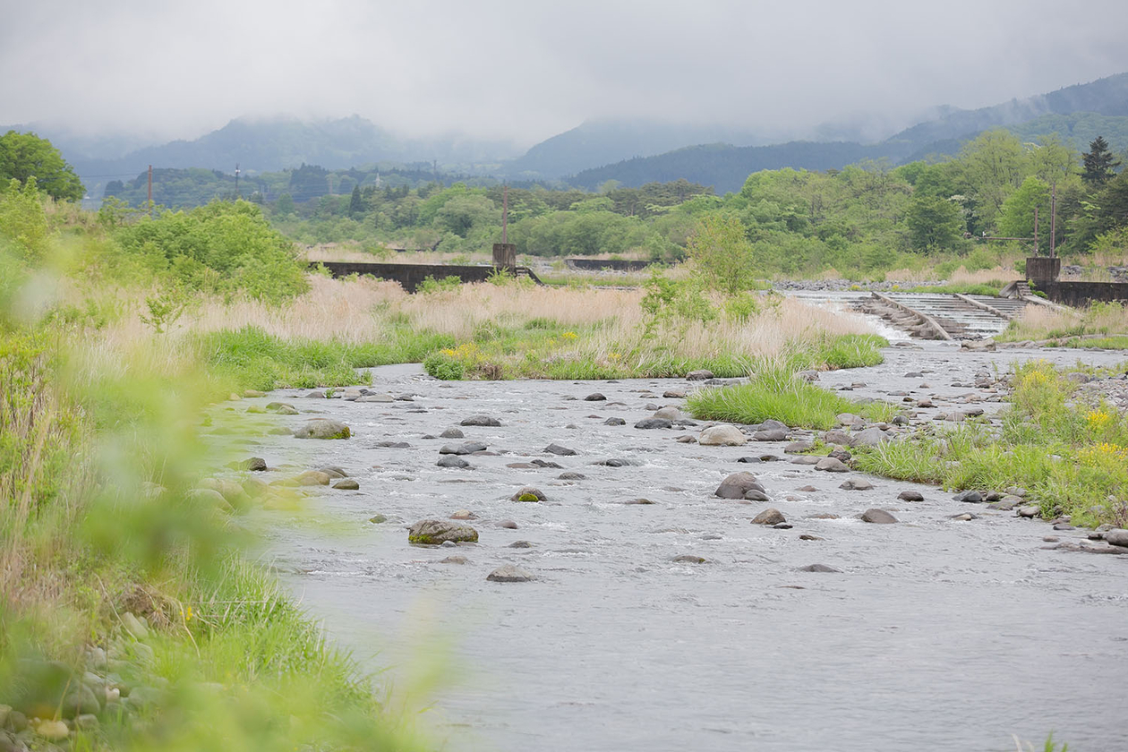 第九十一話 立ち続ける覚悟－【日光篇】 美空ひばり－