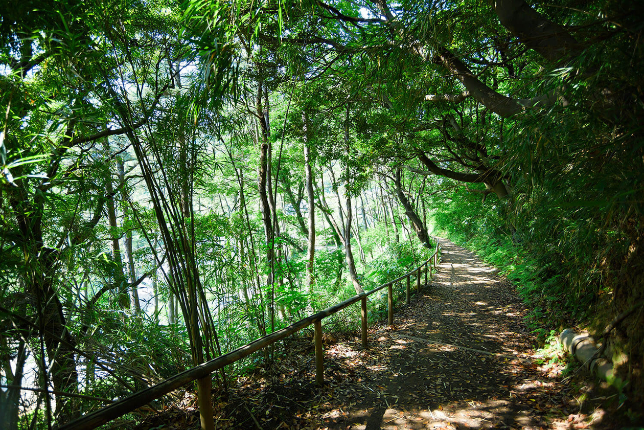 第九十二話 孤独から逃げない－【横浜篇】日本画家 東山魁夷－
