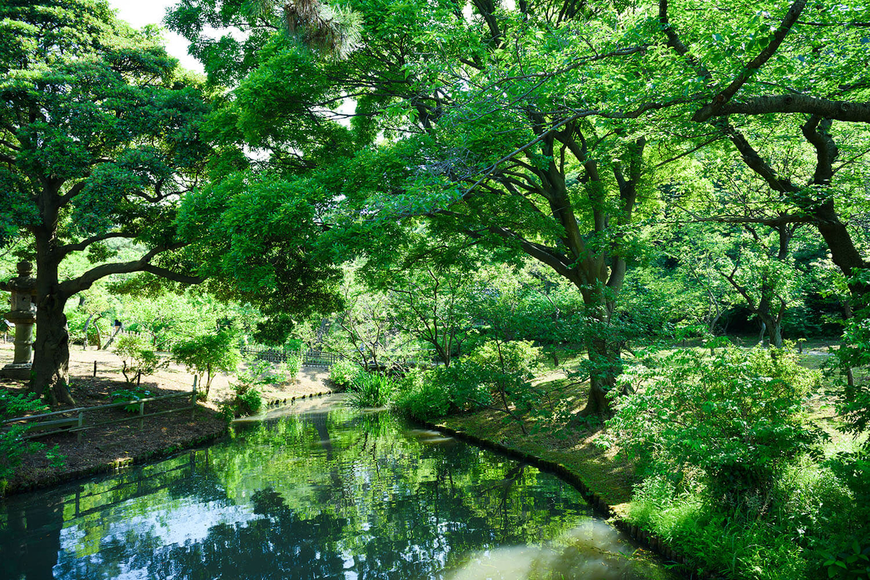 第九十二話 孤独から逃げない－【横浜篇】日本画家 東山魁夷－