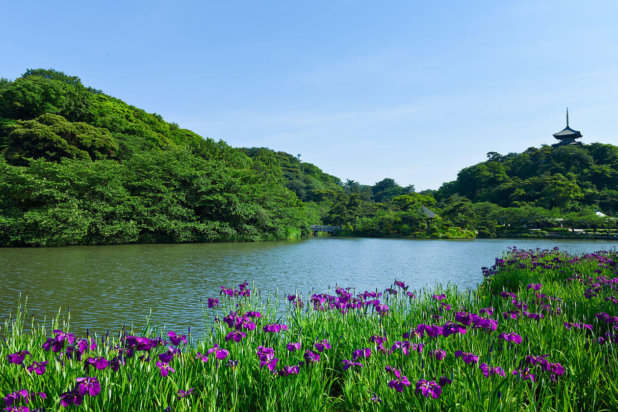第九十二話 孤独から逃げない－【横浜篇】日本画家 東山魁夷－