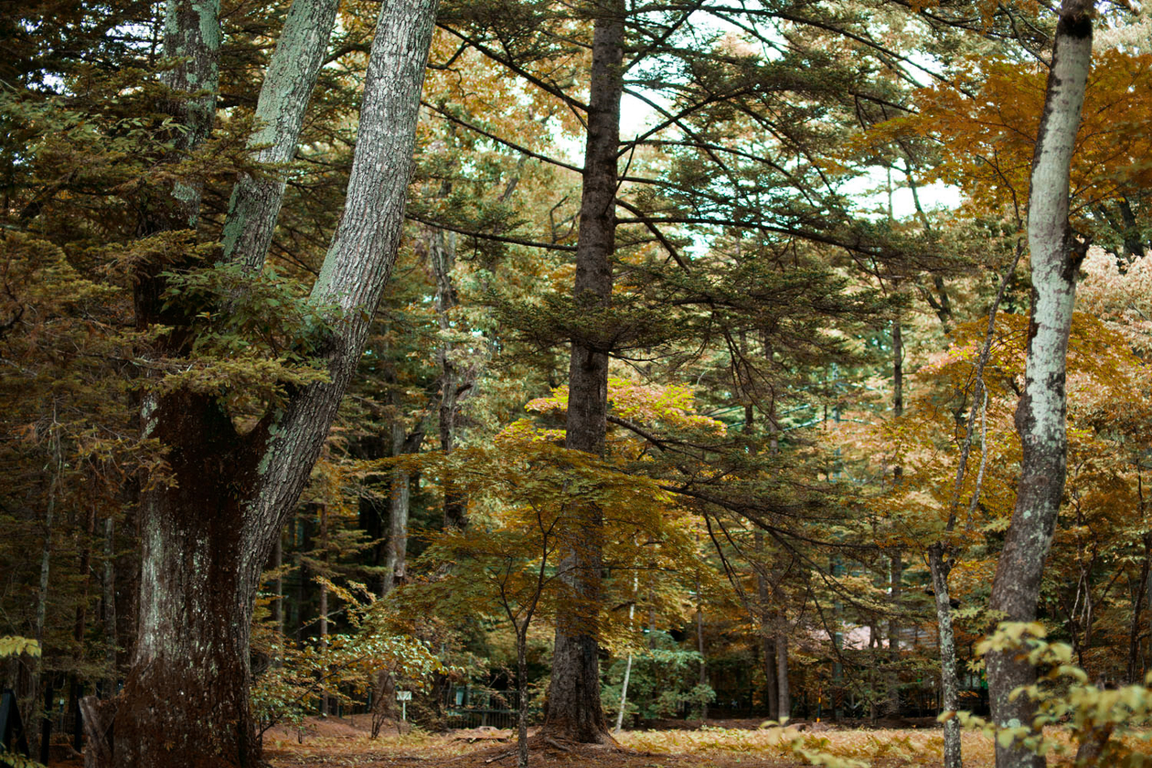 第七話 受け入れるということ－佐藤万平－