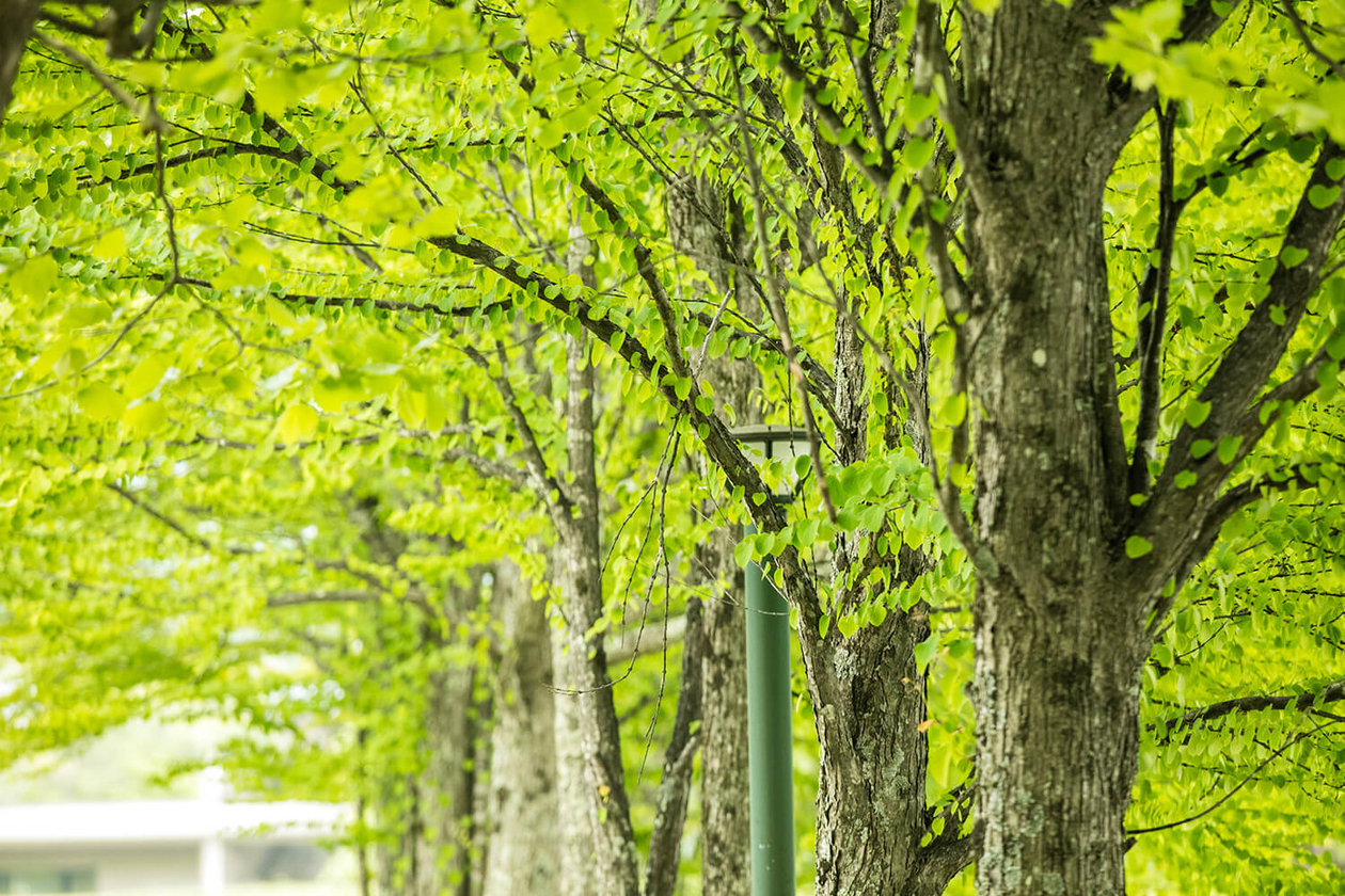 第九十七話 40歳からの生き方－【軽井沢篇】詩人・思想家 タゴール－