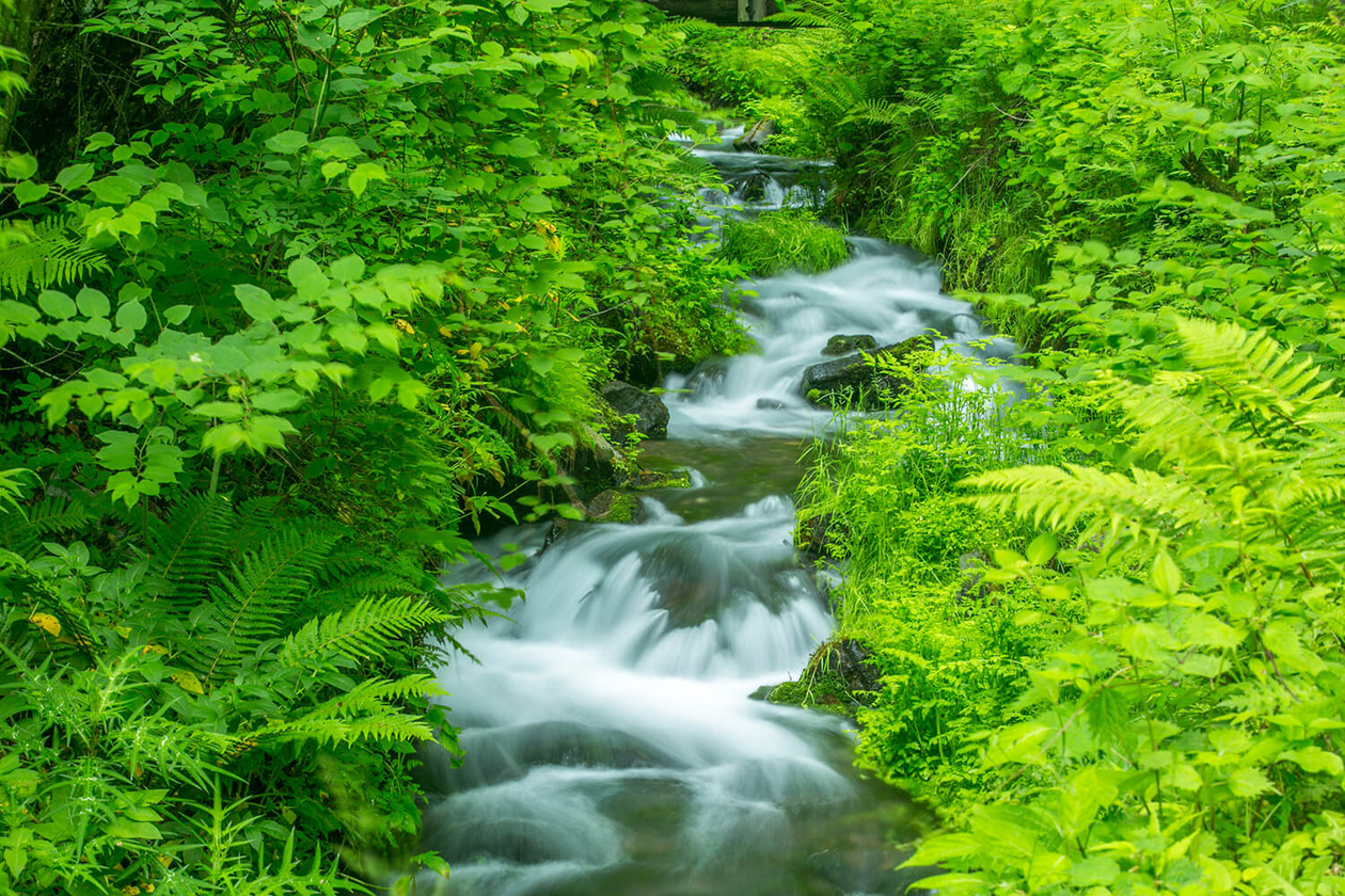 第九十八話 自分の居場所－【軽井沢篇】彫刻家 イサム・ノグチ－