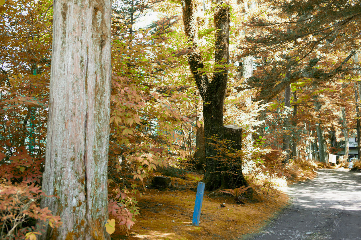 第八話 虹を見ていた　　－芥川龍之介－