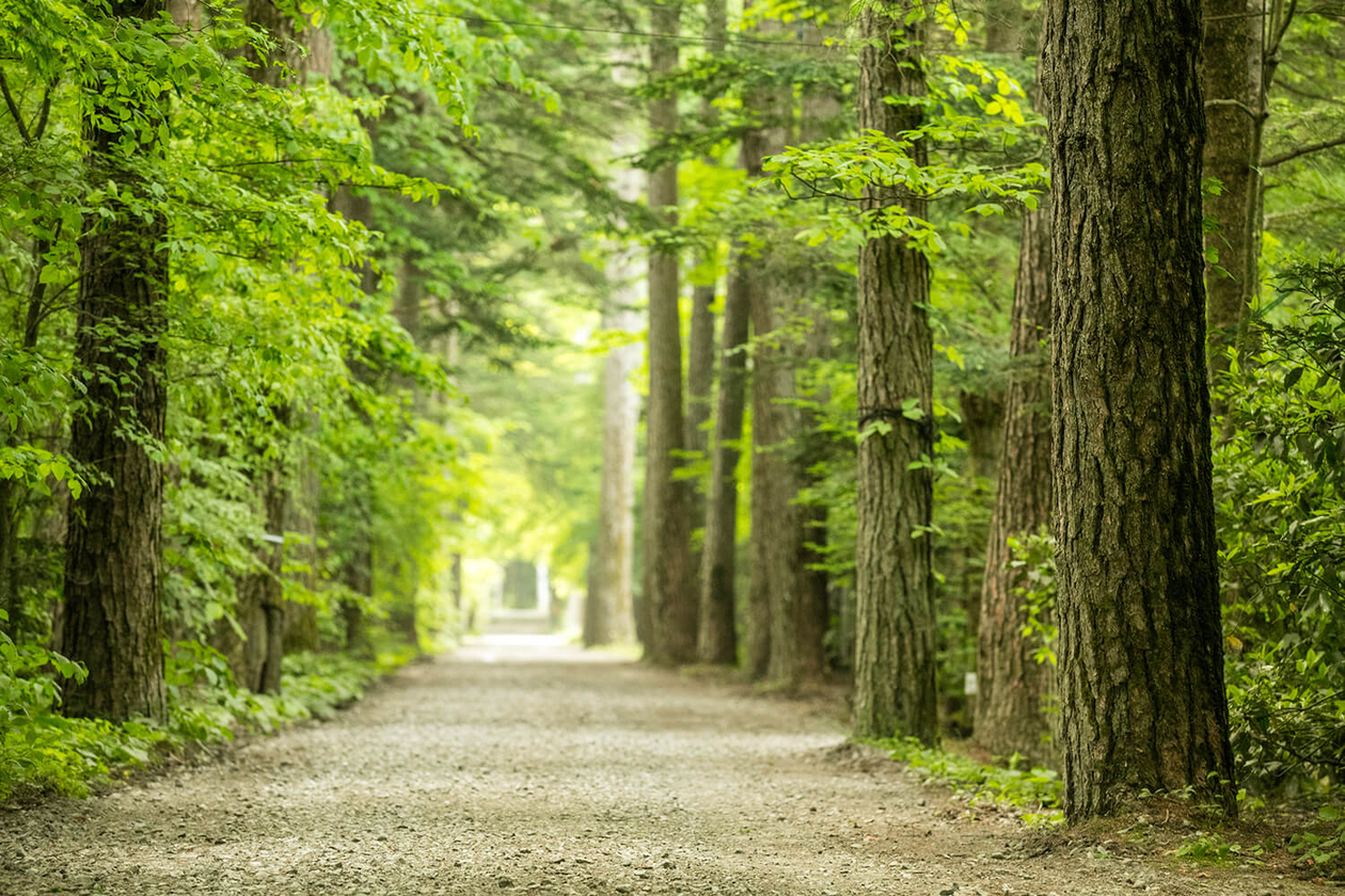 第九十八話 自分の居場所－【軽井沢篇】彫刻家 イサム・ノグチ－