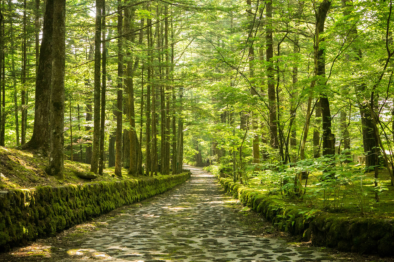 第九十九話 ジョンとヨーコ､それぞれのyes!前編－【軽井沢篇】番組100話記念スペシャル－