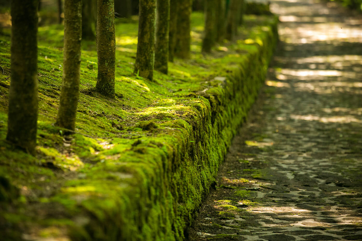 第九十九話 ジョンとヨーコ､それぞれのyes!前編－【軽井沢篇】番組100話記念スペシャル－
