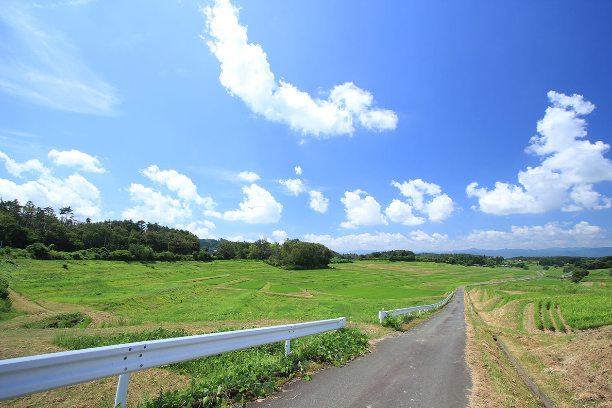 第百二話 失敗を尊ぶ－【盛岡篇】画家 萬鐵五郎－