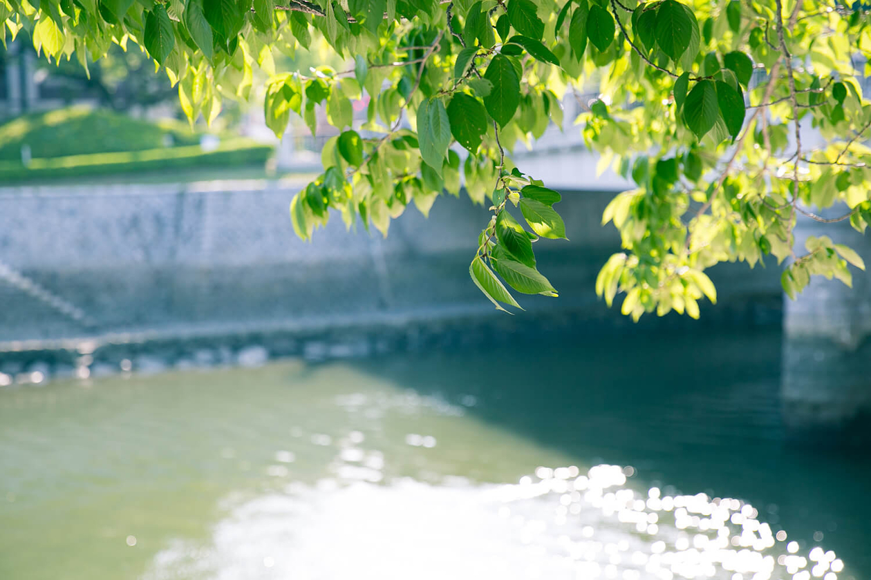 第百七話 志をつなぐということ－【広島篇】児童文学者 鈴木三重吉－