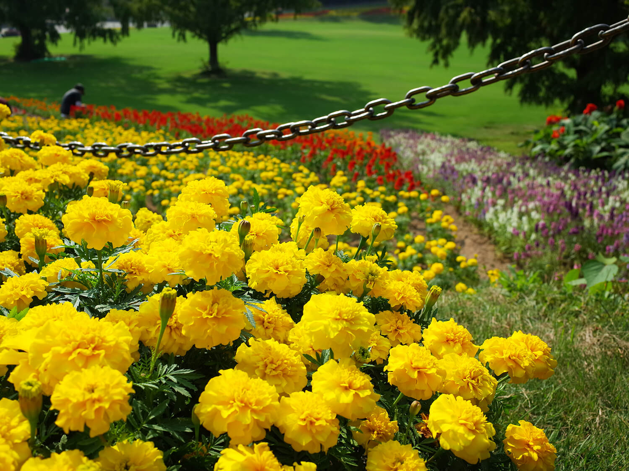 第百十二話 自分の中に毒を持つ | yes！～明日への便り～presented by