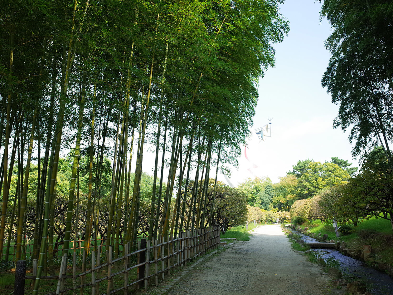 第百十二話 自分の中に毒を持つ | yes！～明日への便り～presented by