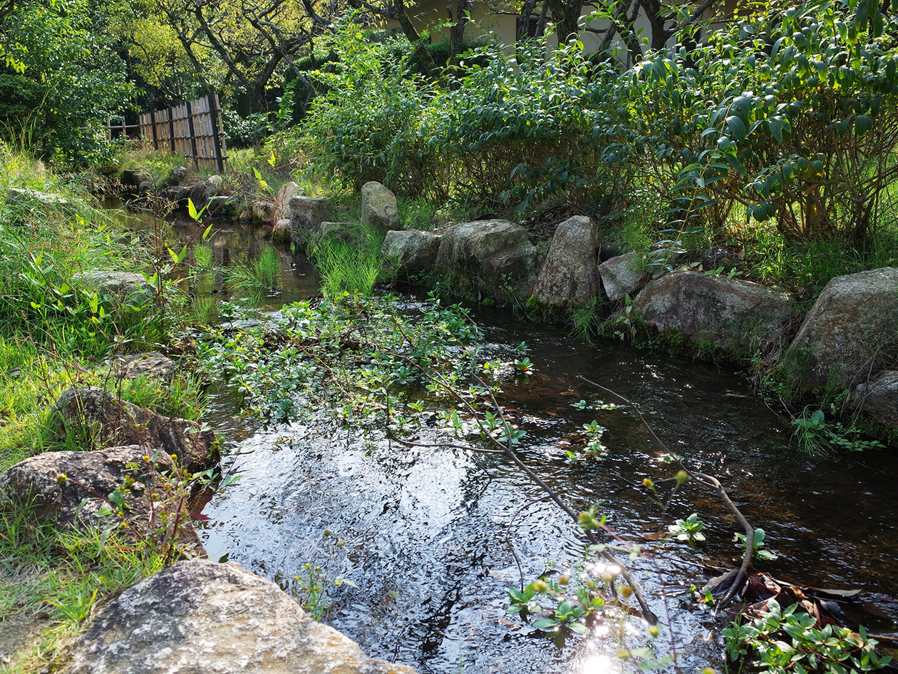 第百十二話 自分の中に毒を持つ | yes！～明日への便り～presented by
