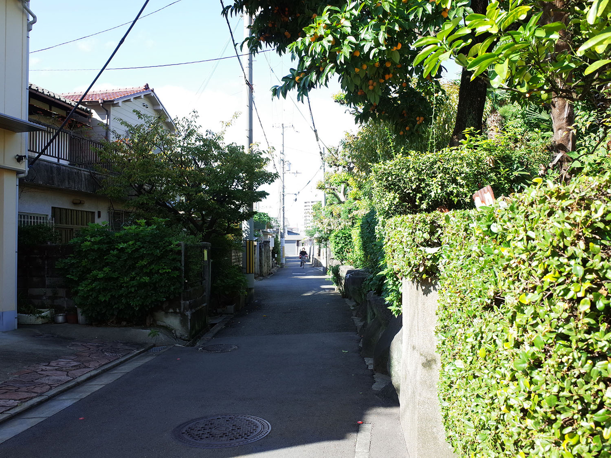 第百十三話 自分の五感を信じる－【大阪篇】作家 司馬遼太郎－