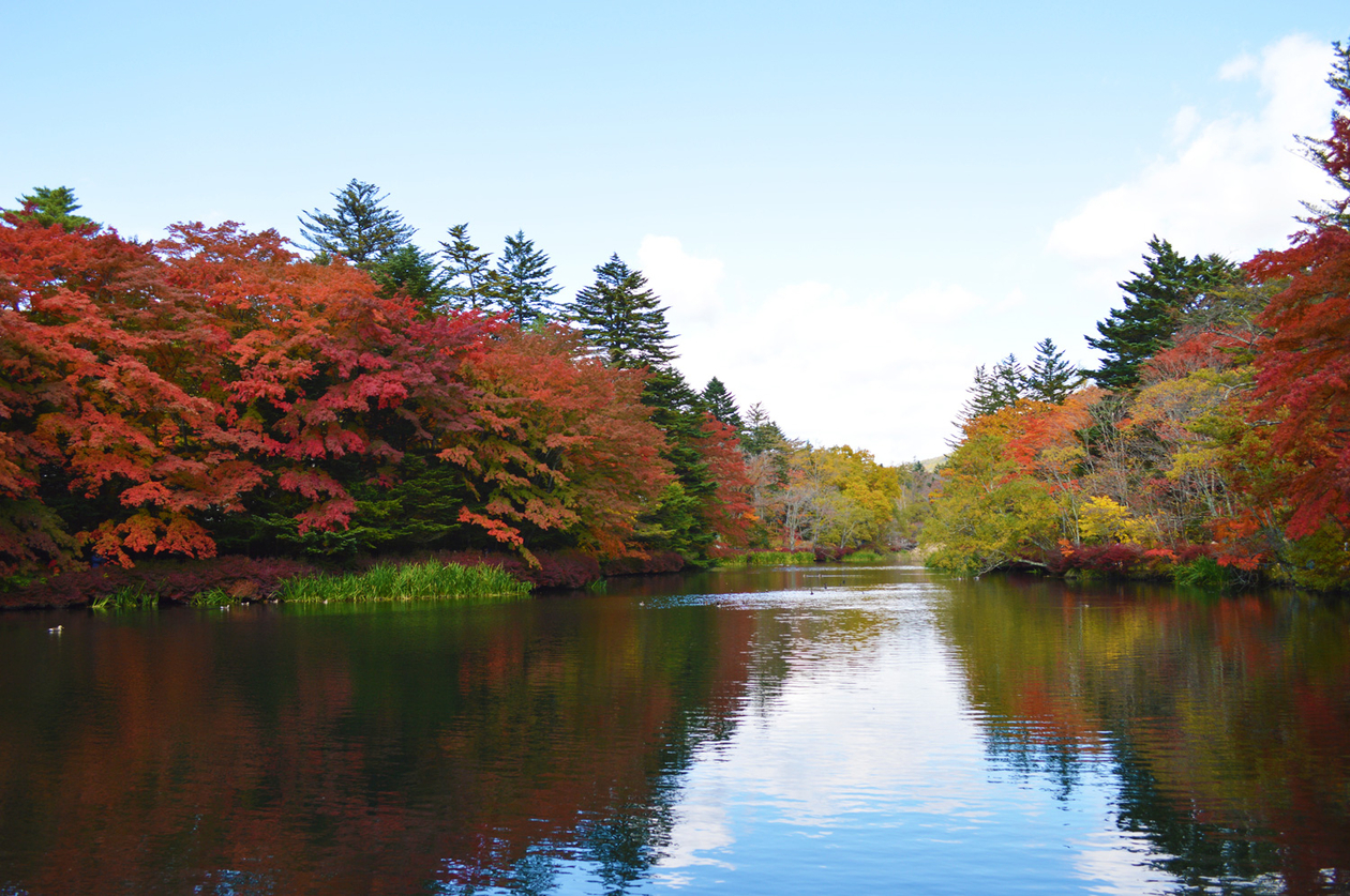第十話 　ひとを喜ばす　　－横溝正史－