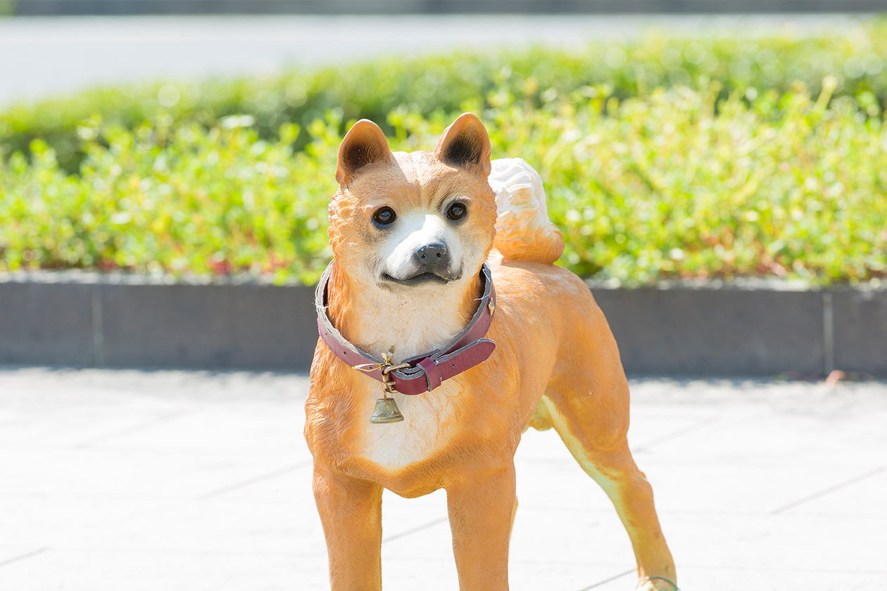 第百二十話 人を愛し、運命を呼び込む－【鹿児島篇】西郷隆盛－