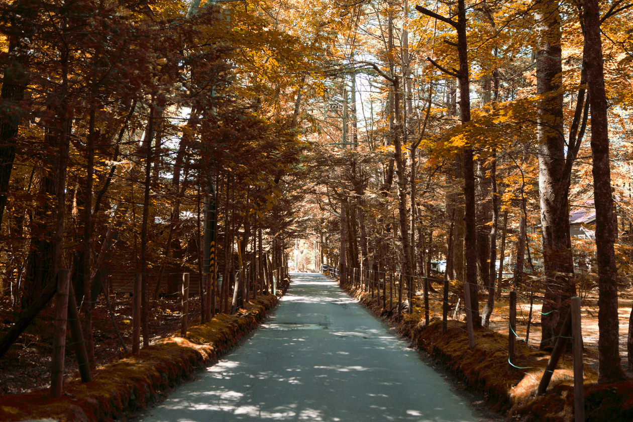 第十話 　ひとを喜ばす　　－横溝正史－