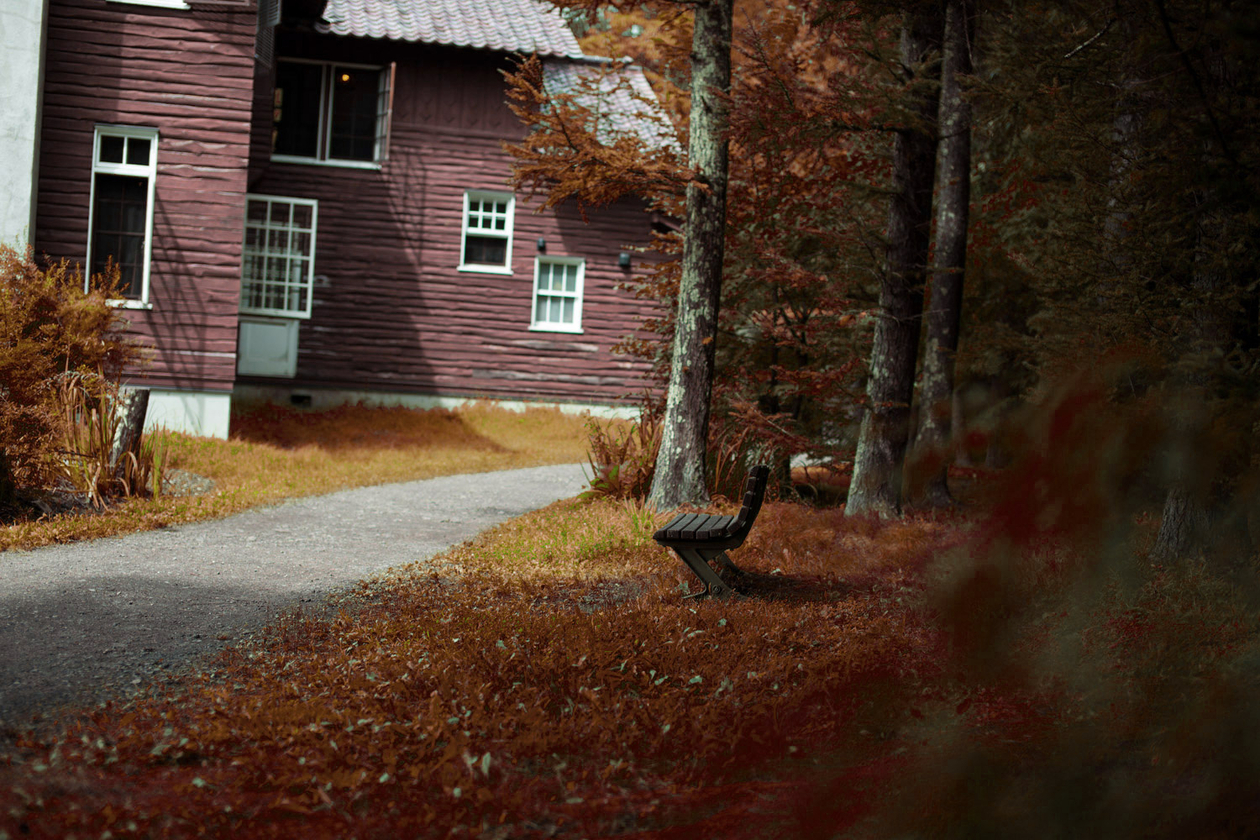 第十一話 悲しみよ、こんにちは　－フランス文学者・朝吹 登水子－