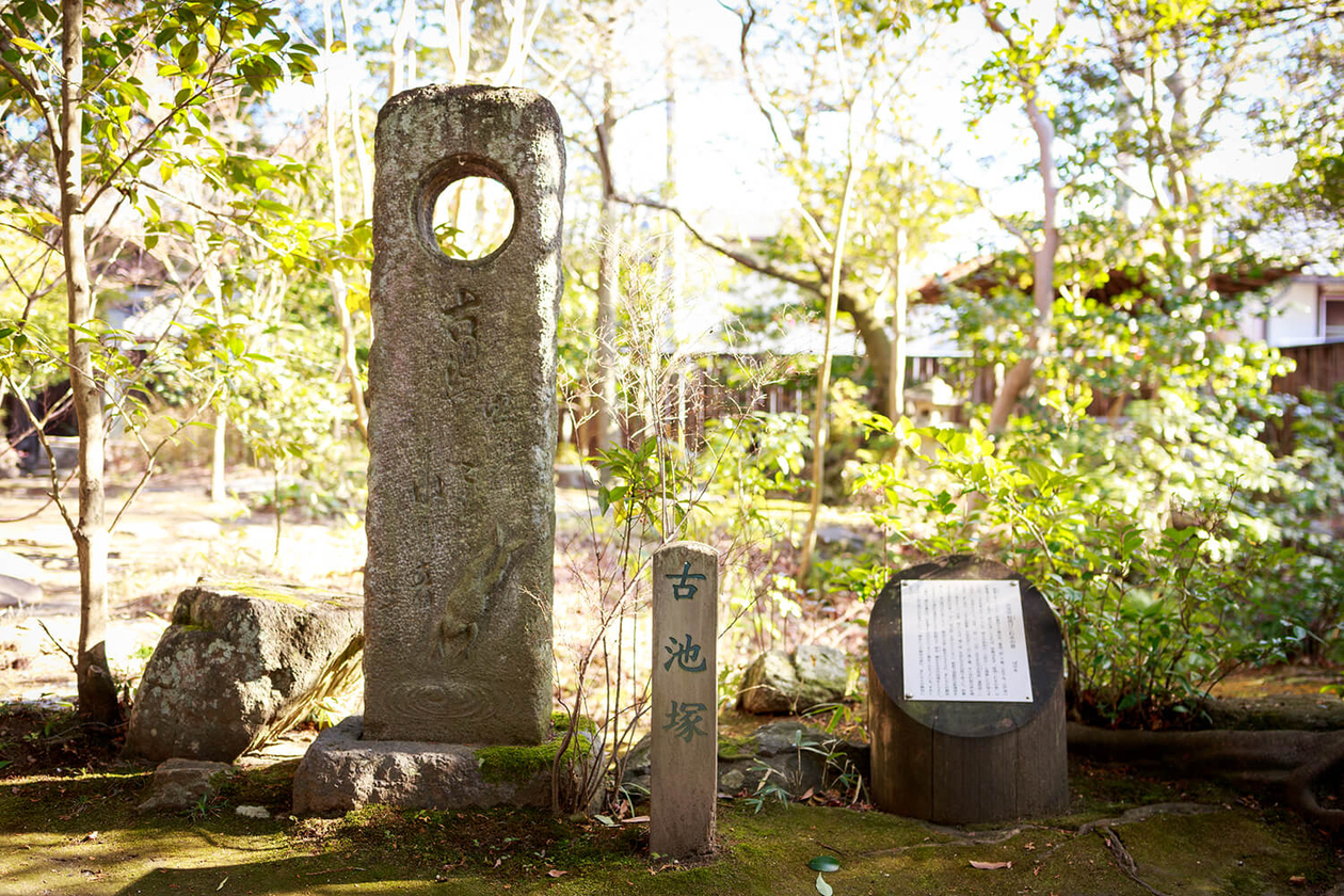 第百二十六話 軽々と、生きていく－【三重篇】松尾芭蕉－