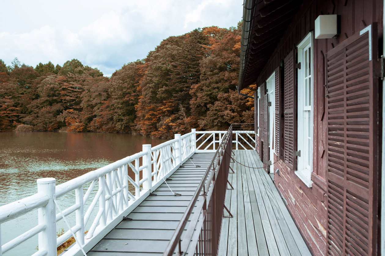 第十一話 悲しみよ、こんにちは　－フランス文学者・朝吹 登水子－