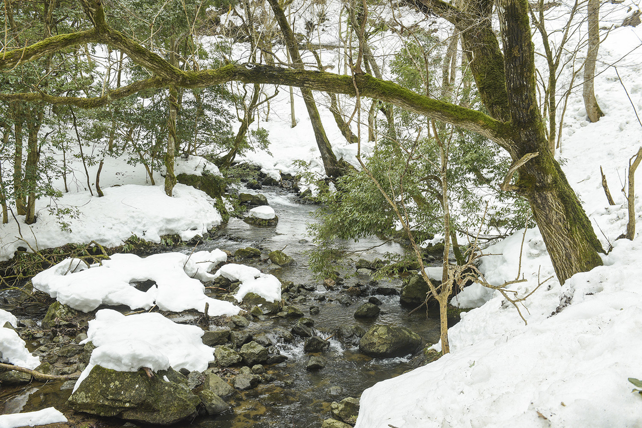 第百三十話 自信は成功の鍵－【島根篇】作家 宇野千代－