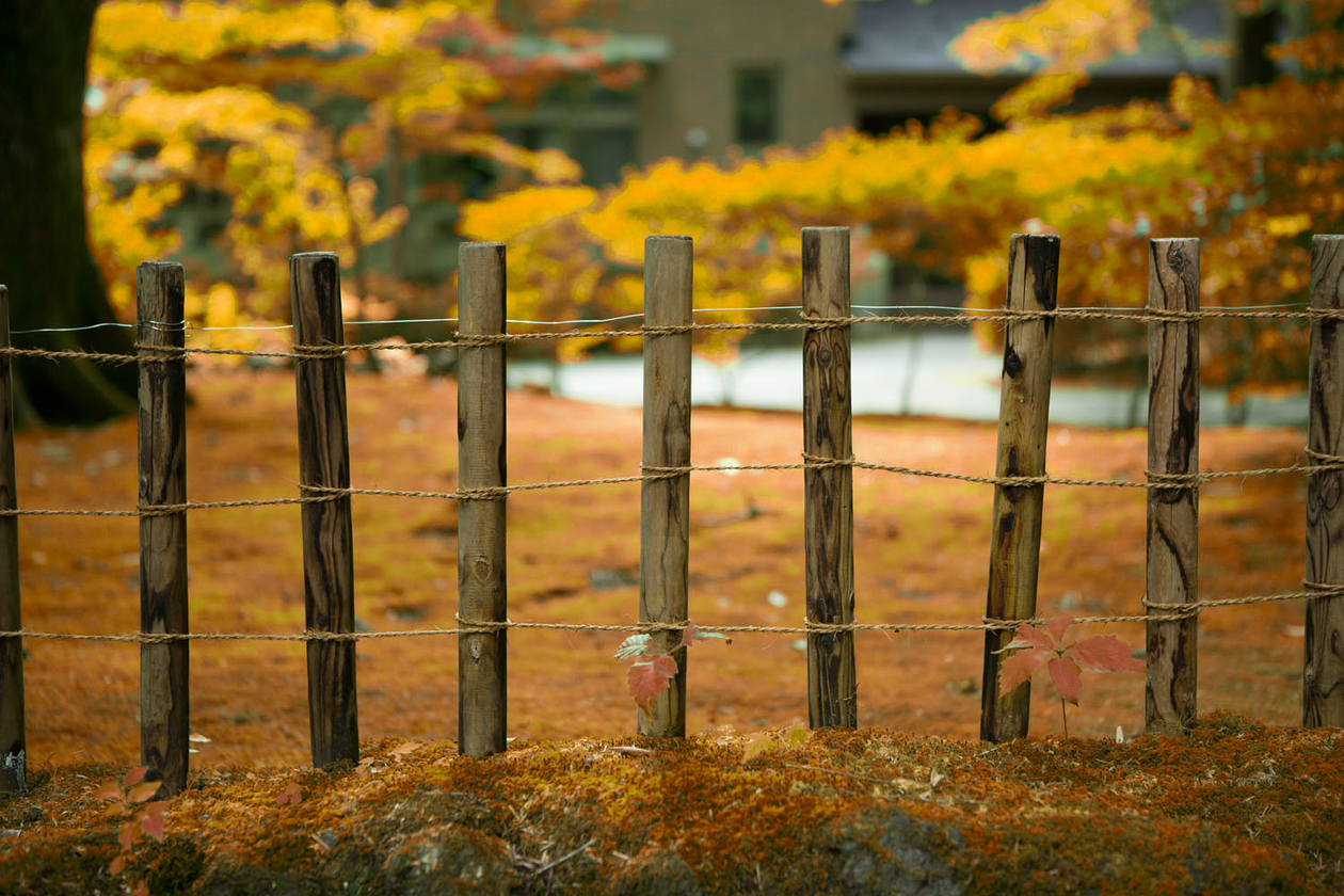 第十二話 闇の中の光－小説家・石川 達三－