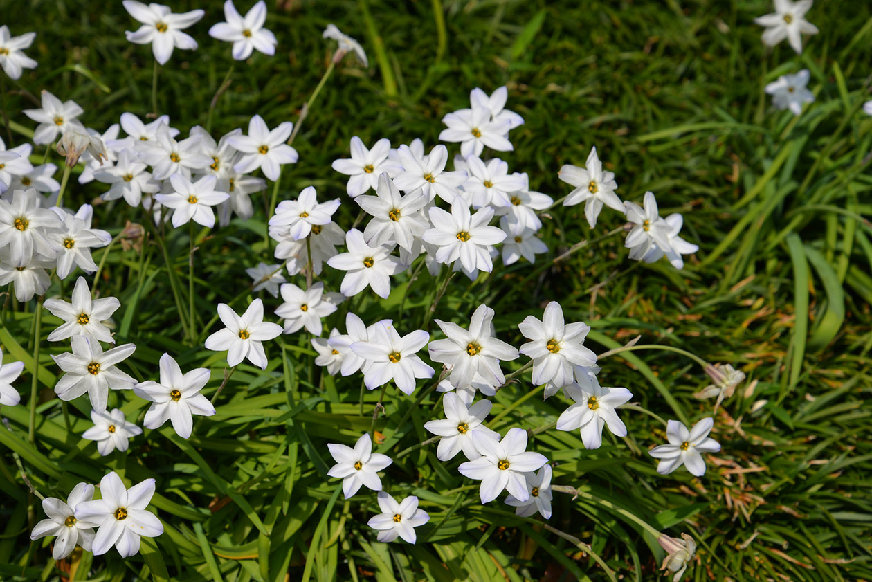 第百三十七話 偉くならない－【東京篇②池袋】画家 熊谷守一－