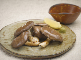 霜降りひらたけの素焼き